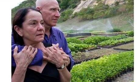 con 2 millones de arboles y mucho amor, una pareja busca salvar la selva amazonica con 2 millones de arboles y mucho amor, una pareja busca salvar la selva amazonica