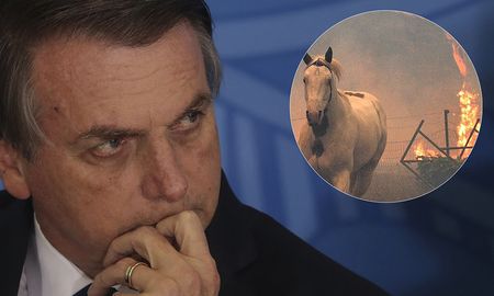 bolsonaro pregunto por greta thunberg y macron, tras los incendios en australia bolsonaro pregunto por greta thunberg y macron, tras los incendios en australia