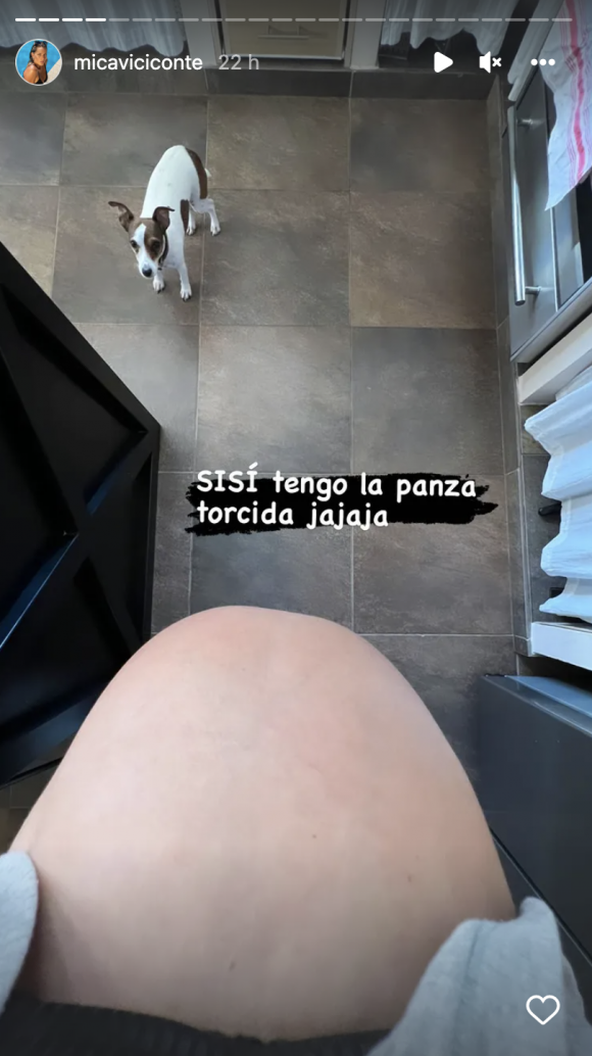 Mica Viciconte mostró cómo está su panza.