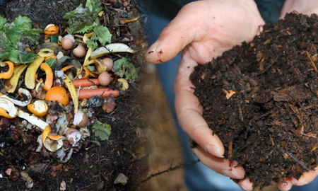 Compostar, el arte de reciclar en la huerta