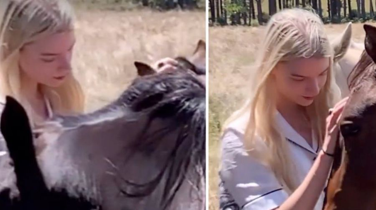Con caballos, Anya Taylor-Joy juega relajada en una chacra de Punta del Este.