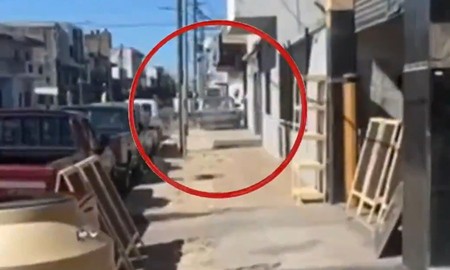 Feroz persecución en Lanús por el robo de un shampoo. Feroz persecución en Lanús por el robo de un shampoo.