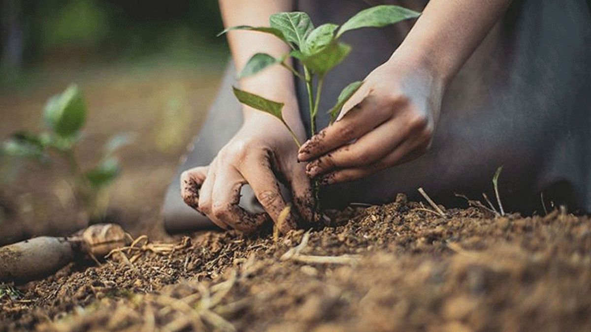 ARC se presenta como una herramienta concreta para reconocer y agregar valor a quienes se esfuerzan por producir regenerando el ambiente.