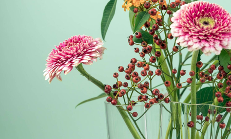 Seis plantas que atraen las energías positiva y la paz al hogar Seis plantas que atraen las energías positiva y la paz al hogar