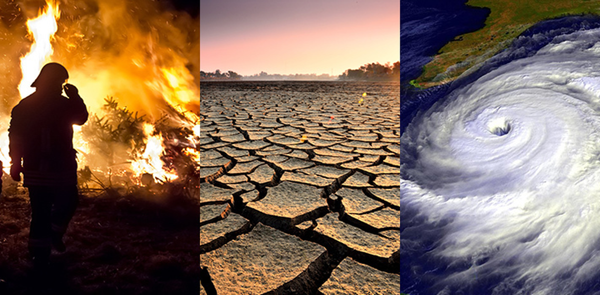 El principal contribuyente del cambio climático es el efecto invernadero, ocasionado por cierto tipos de gases como el dióxido de carbono (CO2).