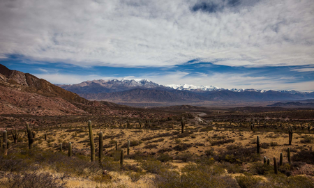 Una ruta imperdible que atraviesa el Parque Nacional los Cardones Una ruta imperdible que atraviesa el Parque Nacional los Cardones