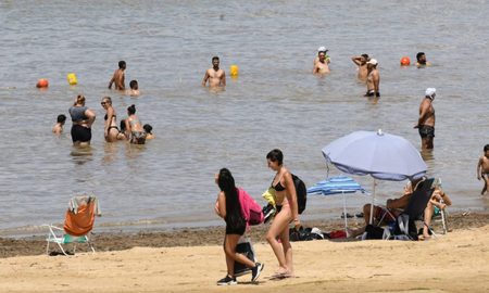 Recomiendan no ingresar al río Paraná ante la presencia de palometas. Recomiendan no ingresar al río Paraná ante la presencia de palometas.