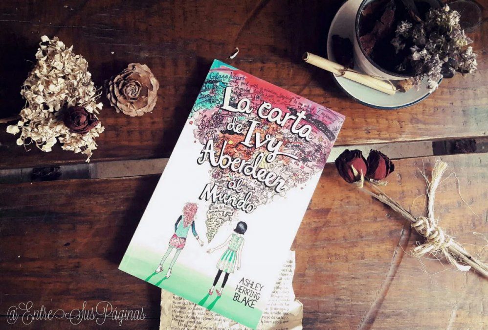 Cuando la amistad me acompaño a casa, de Paul Griffin