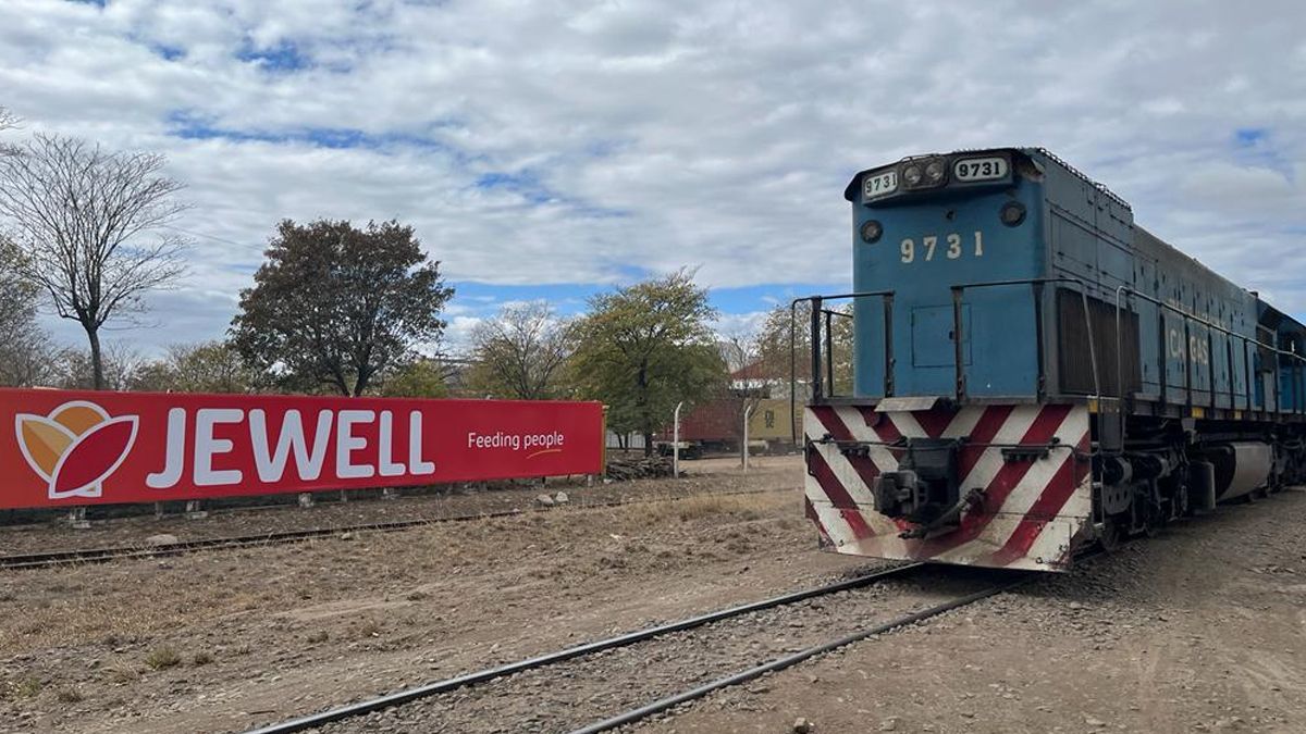 Jewell se constituyó en una de las pocas legumbreras en enviar sus producciones directamente desde su planta -radicada en General Güemes, Salta- hasta la terminal portuaria de Rosario a través del tren Belgrano Cargas.