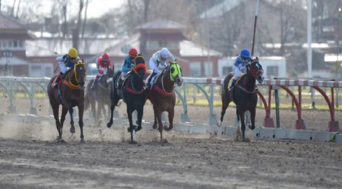 Un jockey está en grave estado tras caer y ser pisado por su caballo en el Hipódromo de La Plata