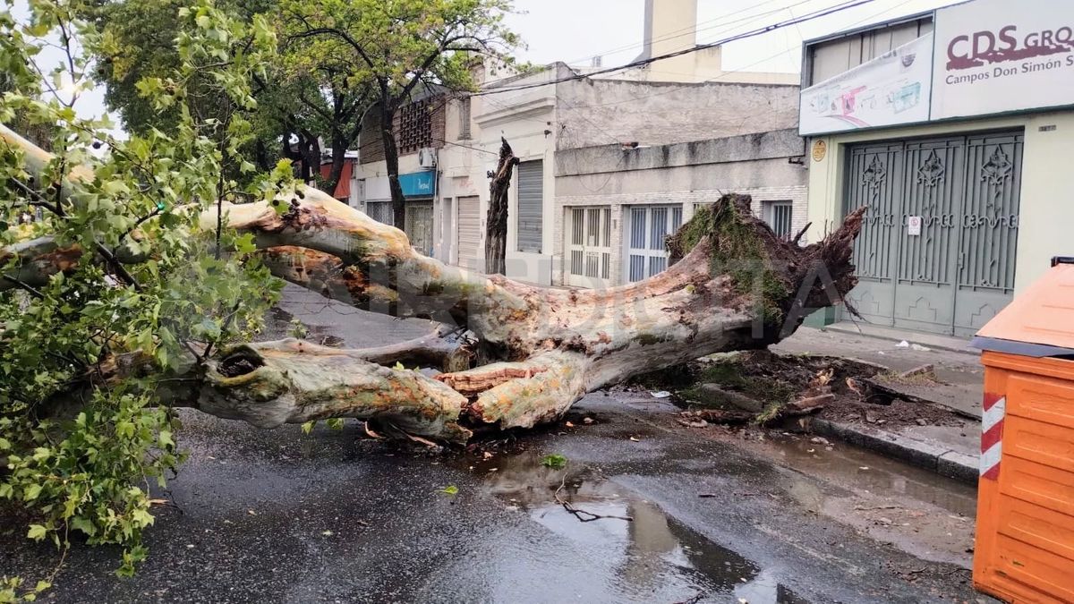 Las imágenes del temporal en Rosario. Las imágenes del temporal en Rosario.