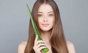 Beneficios del aloe vera para el cabello.