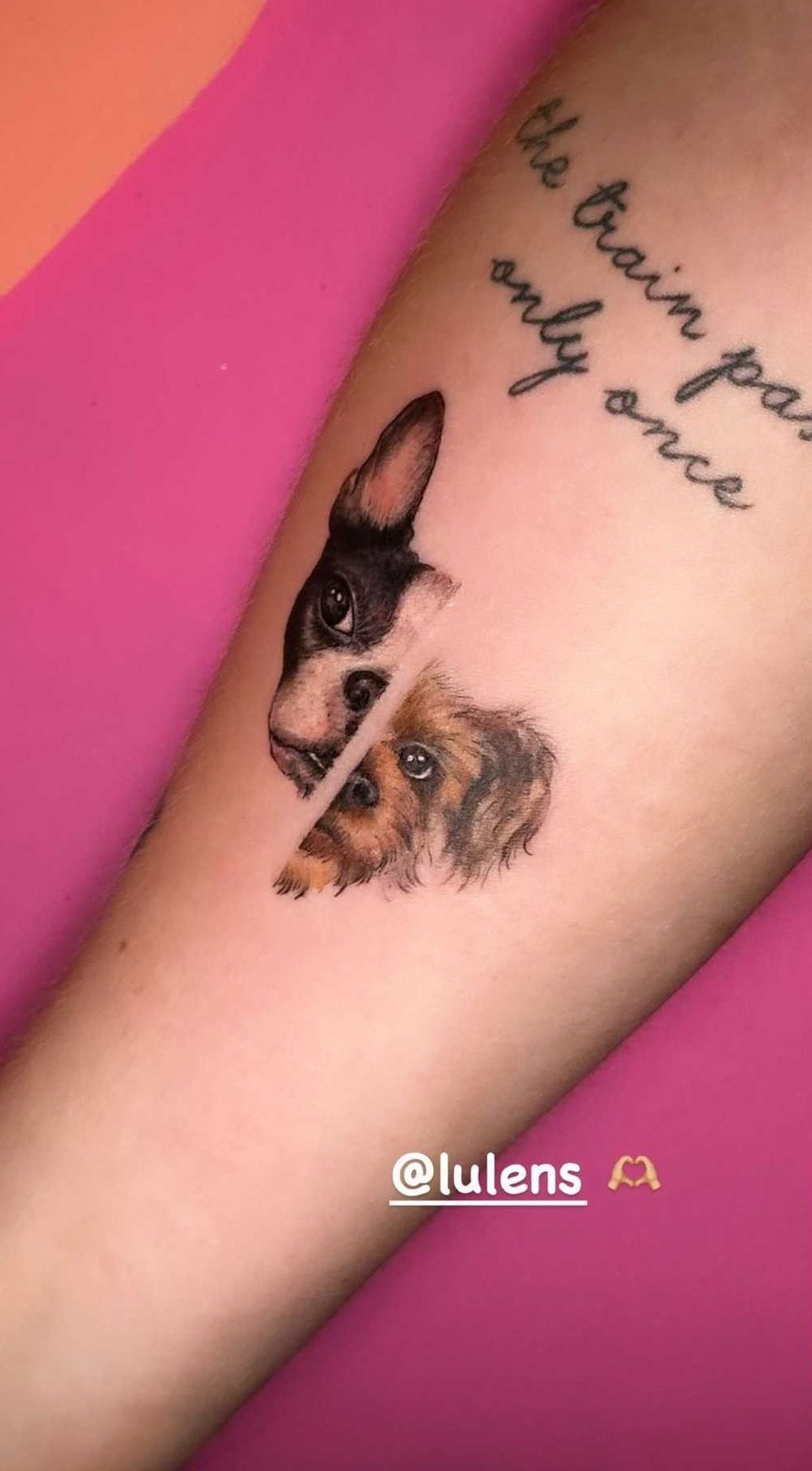 Martita Fort se tatuó a sus dos perros, que murieron el fin de semana.