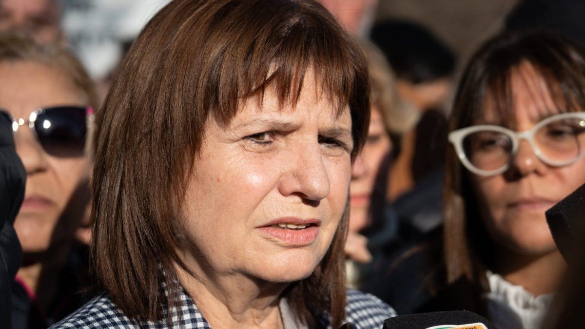 Bullrich dijo que las organizaciones mapuches violentas del sur