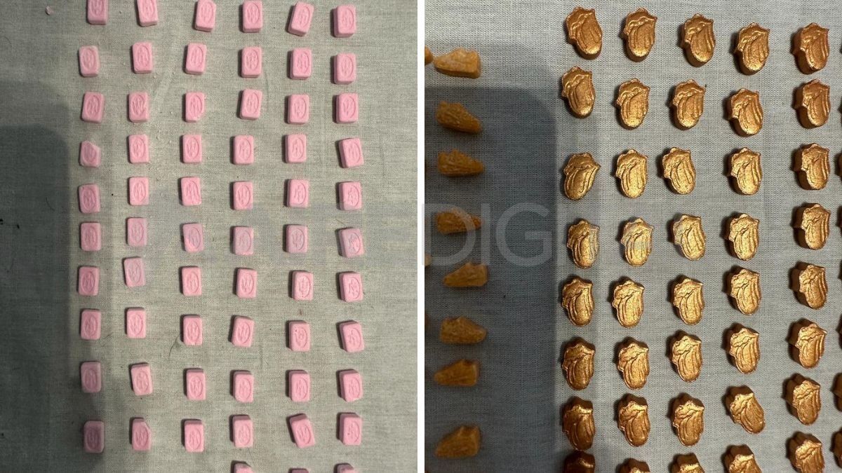 Parte de los estupefacientes incautados en el allanamiento. Parte de los estupefacientes incautados en el allanamiento.