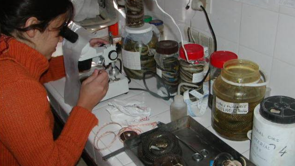 Las principales actividades del Instituto están dirigidas al estudio del funcionamiento del río Paraná y otros sistemas acuáticos continentales naturales y con impacto antrópico.