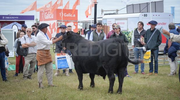 Santa Fe mantendrá su reclamo para que el Ejecutivo Nacional implemente un plan de retenciones que garantice estabilidad, inversión y crecimiento en el sector agropecuario.