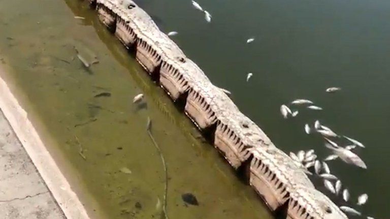 (Foto: captura de pantalla video @hdemauleon)