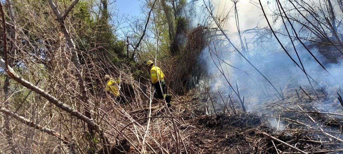 Brigadistas y Bomberos en la tarea permanente de combatir el fuego. El Centro de Operaciones está en la zona del Puerto de la ciudad de Santa Fe.