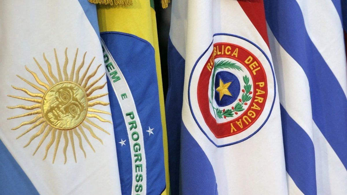 También se prevé la realización de actividades en el Exterior, en coordinación con las representaciones diplomáticas de los cuatro Estados que integran el Mercosur.