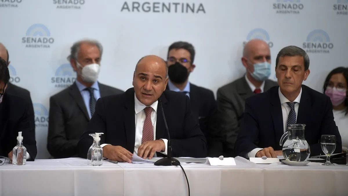 Manzur expuso su primer informe de gestión ante el Senado.&nbsp; &nbsp;