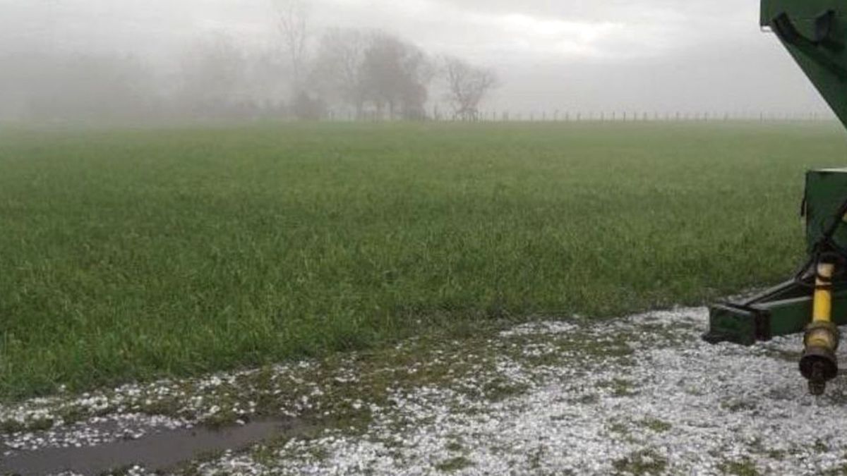 Cualquier aporte de agua resulta positivo luego de un enero con lluvias deficitarias.