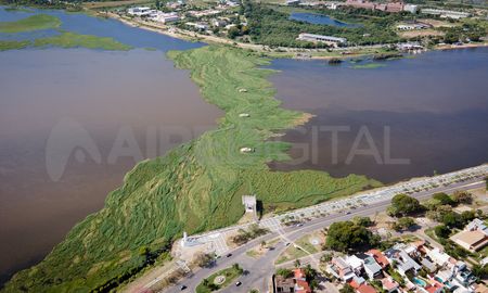 Vista aérea de la vegetación que ocupa todo el ancho de la laguna y que cruza desde la Costanera Oeste a la Este, a la altura de El Faro. Vista aérea de la vegetación que ocupa todo el ancho de la laguna y que cruza desde la Costanera Oeste a la Este, a la altura de El Faro.