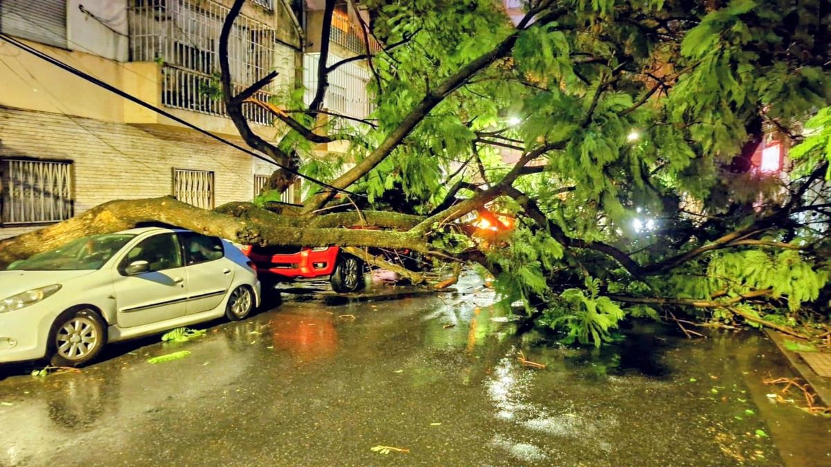 El viento en Rosario alcanzó ráfagas de 102 km/h durante la madrugada de este martes. El viento en Rosario alcanzó ráfagas de 102 km/h durante la madrugada de este martes.