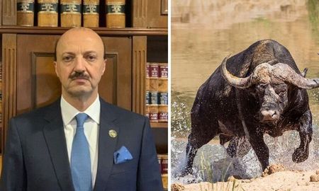 Un búfalo enfurecido embistió y mató de varias cornadas a un cazador que le disparó con una escopeta. Un búfalo enfurecido embistió y mató de varias cornadas a un cazador que le disparó con una escopeta.