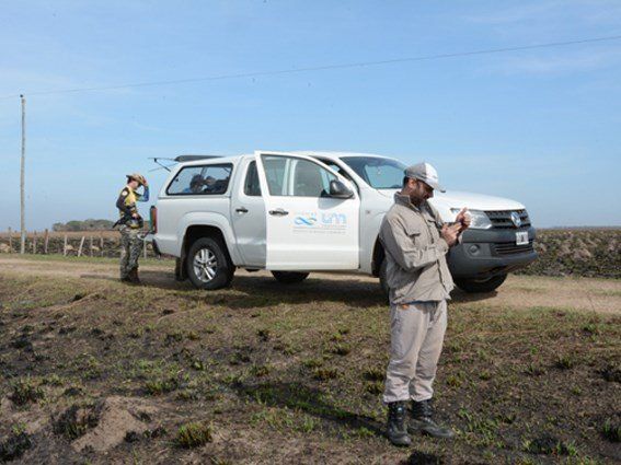 El personal del Conicet realiza el relevamiento para determinar el nivel de afectación que causaron los incendios en poblaciones de especies amenazadas en las provincias de Corrientes y Misiones.