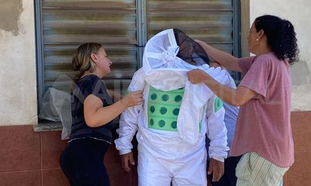 invasion de abejas en liceo norte: pican sin piedad a los vecinos y mataron dos perros invasion de abejas en liceo norte: pican sin piedad a los vecinos y mataron dos perros