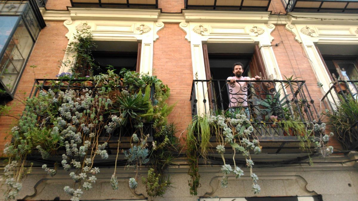 Las plantas colgantes llenan de vida los balcones y los patios con poco esfuerzo. Las plantas colgantes llenan de vida los balcones y los patios con poco esfuerzo.