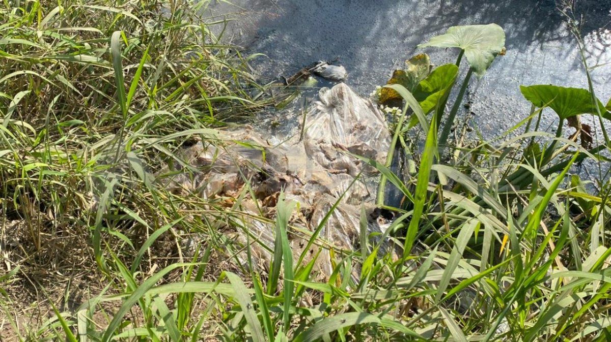 Los restos encontrados estaban en avanzado estado de descomposición.