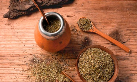 tipos de yerba mate: como saber elegir cual es la mejor tipos de yerba mate: como saber elegir cual es la mejor