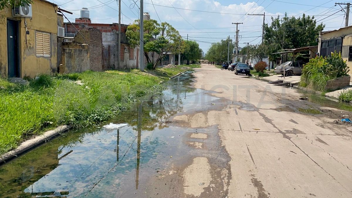 Las aguas servidas se combinan junto al pasto crecido, generando así un ambiente ideal para la proliferación del dengue. Las aguas servidas se combinan junto al pasto crecido, generando así un ambiente ideal para la proliferación del dengue.