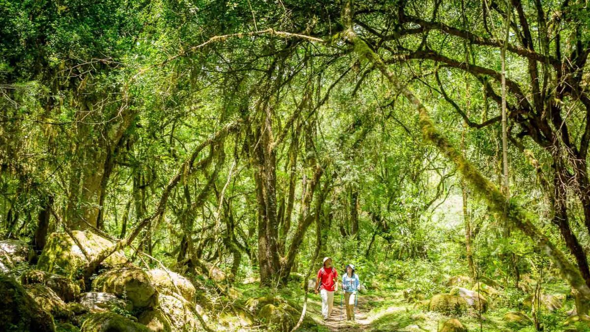 Escapada al Parque Nacional Baritú de la provincia de Salta, un destino perfecto para visitar en verano. Escapada al Parque Nacional Baritú de la provincia de Salta, un destino perfecto para visitar en verano.