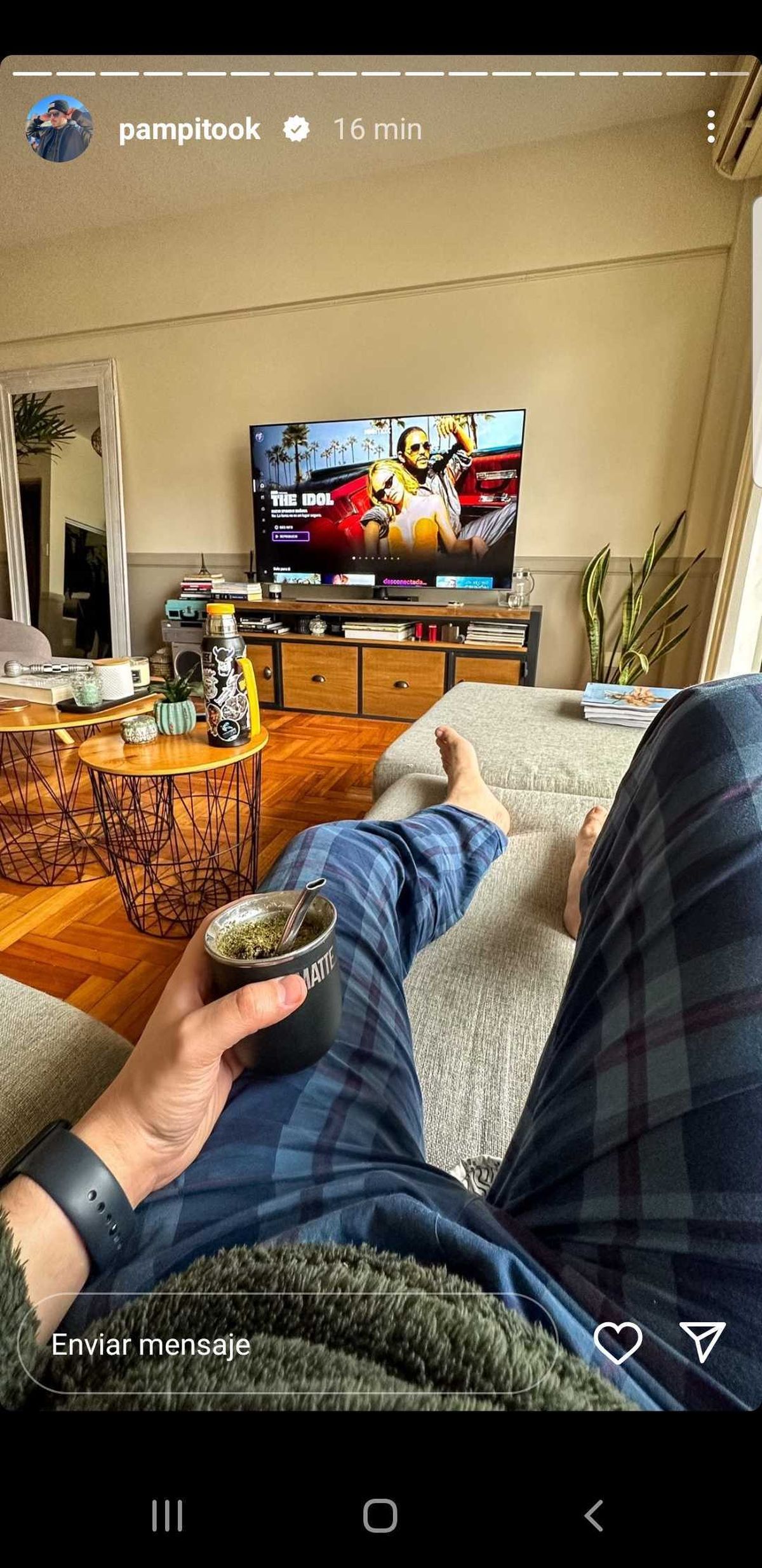 Pampito decoró su departamento con plantas para agregarle algo de verde al espacio. Pampito decoró su departamento con plantas para agregarle algo de verde al espacio.