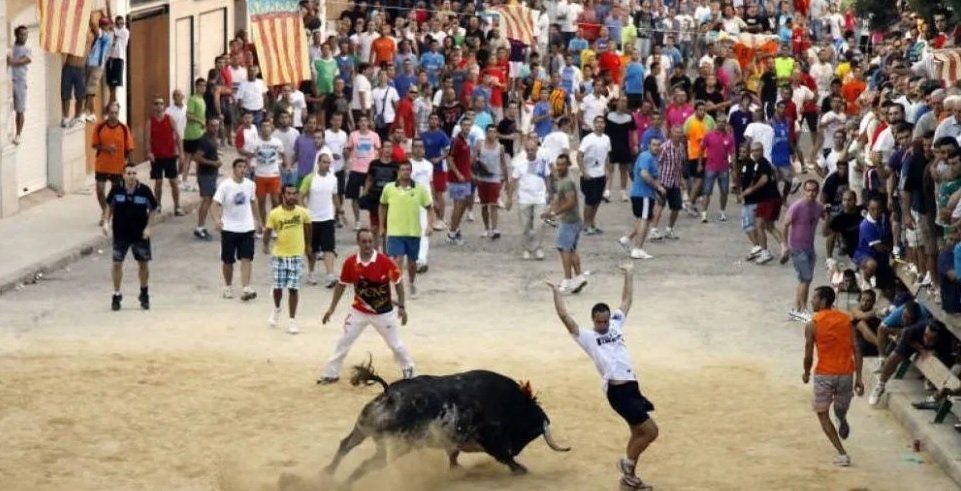 En pleno festival, un toro atacó a un joven de 26 años y lo mató