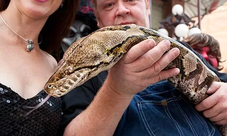 Medusa la serpiente más larga del mundo Medusa la serpiente más larga del mundo