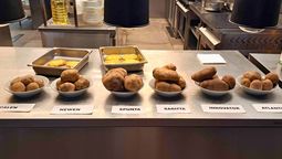 altText(No todas las papas son iguales: qué variedad elegir según cada receta)}