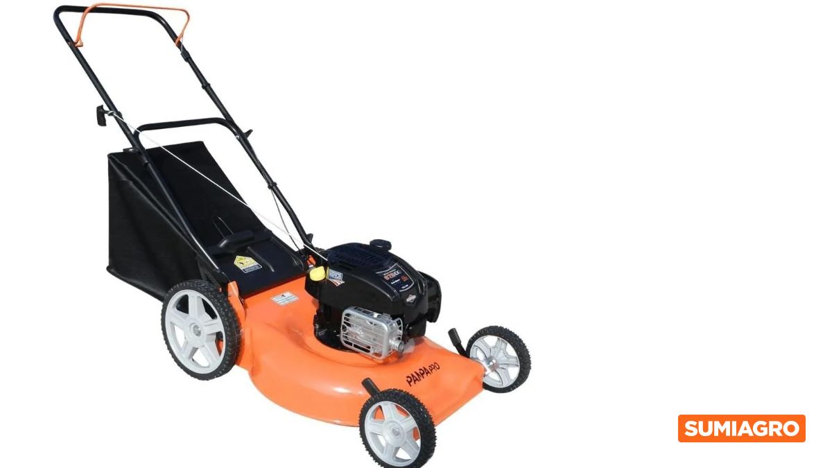 Las tres opciones recomendadas en cortadoras de césped para tu hogar