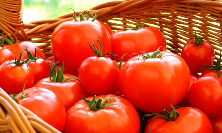 como conservar mejor los alimentos que tenemos en casa como conservar mejor los alimentos que tenemos en casa