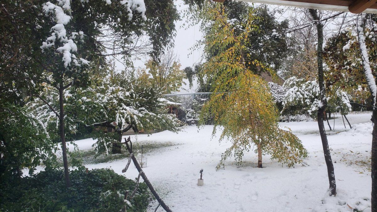 Bariloche: una intensa nevada causó serios inconvenientes al servicio eléctrico