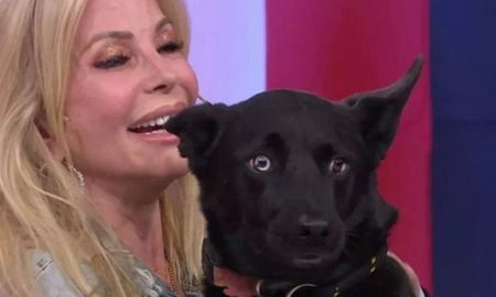 graciela alfano presento a su perro rescatado:?lo habian apaleado y tenia el ojo salido? graciela alfano presento a su perro rescatado:?lo habian apaleado y tenia el ojo salido?