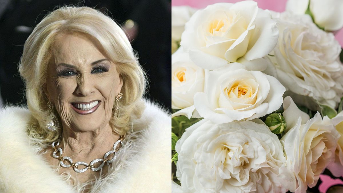 Las flores que definieron el estilo de Mirtha también inspiran tendencias en la decoración actual.