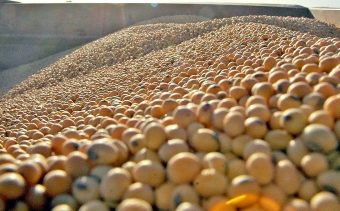 Ucrania envió casi 3 millones de toneladas de grano a la UE entre marzo y mayo.