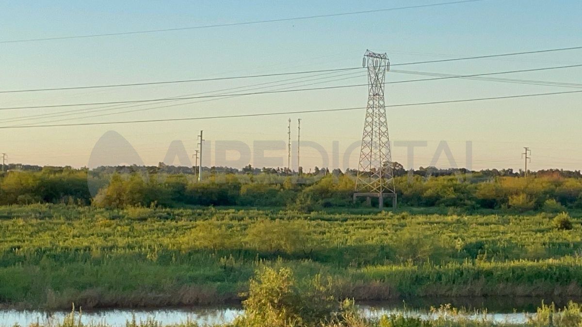 Un hombre que se trasladaba en un bote divisó el cuerpo cerca de la torre de alta tensión.