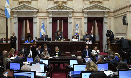 Ley Bases en el Senado: eliminan los capítulos de Ganancias y Bienes Personales. Ley Bases en el Senado: eliminan los capítulos de Ganancias y Bienes Personales.
