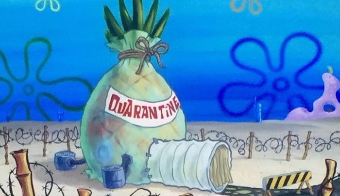 El capitulo eliminado de Bob Esponja habla sobre la curentena y un virus.