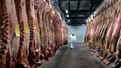 Más mercados internacionales: las exportaciones de carne superaron las 900 mil toneladas en 2024